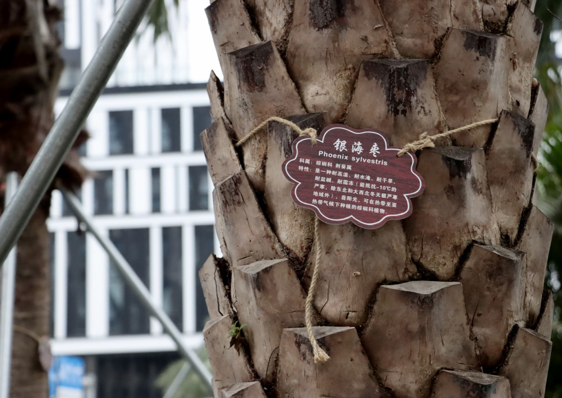 E77dd011 E582 497d 8d64 E20b022f1375